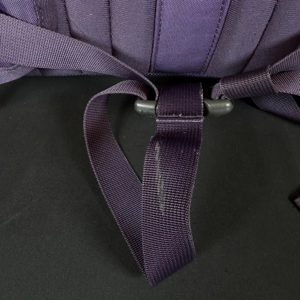 The North Face Borealis School Laptop Backpack Purple & Teal